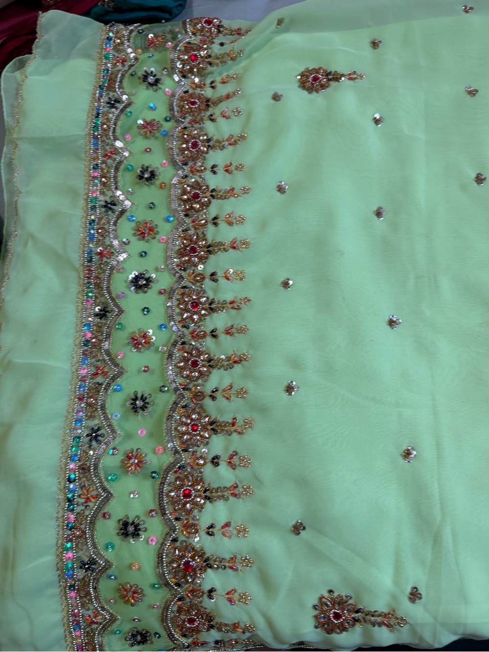 Embellished Mint Green Saree with Gold and Multicolor Beading